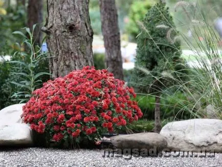 Fotografie - Landscape Design