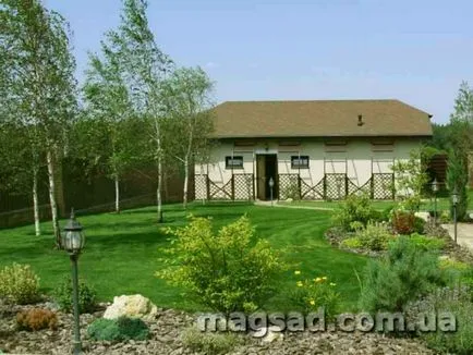 Fotografie - Landscape Design