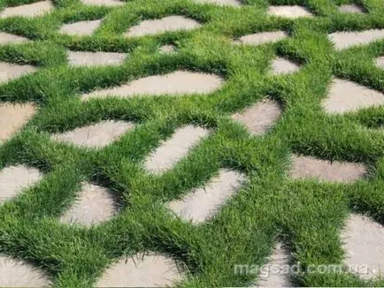 Fotografie - Landscape Design