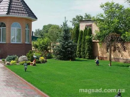 Fotografie - Landscape Design