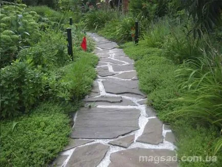 Fotografie - Landscape Design