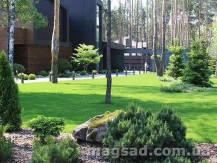 Fotografie - Landscape Design