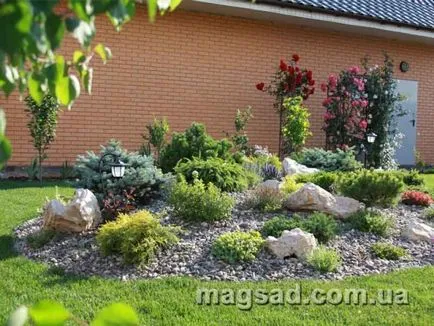 Fotografie - Landscape Design