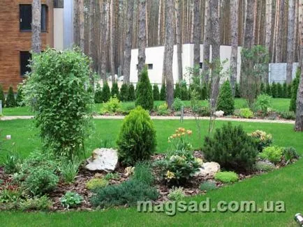 Fotografie - Landscape Design