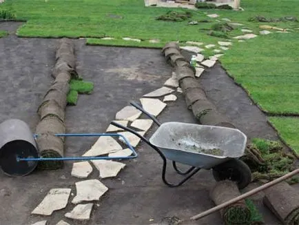 Fotografie - Landscape Design