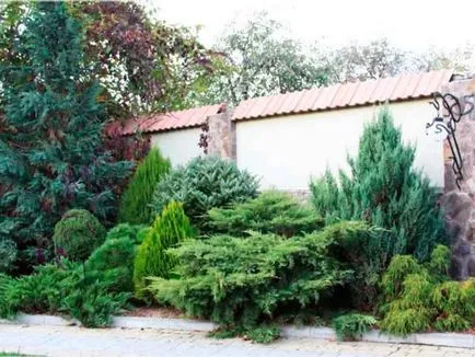 Fotografie - Landscape Design