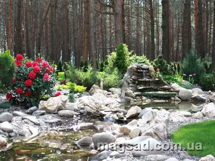 Fotografie - Landscape Design