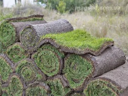 Fotografie - Landscape Design
