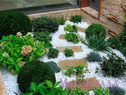 Fotografie - Landscape Design