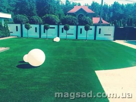 Fotografie - Landscape Design
