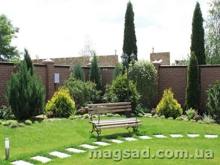 Fotografie - Landscape Design