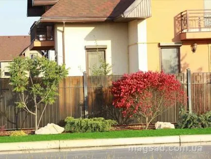 Fotografie - Landscape Design