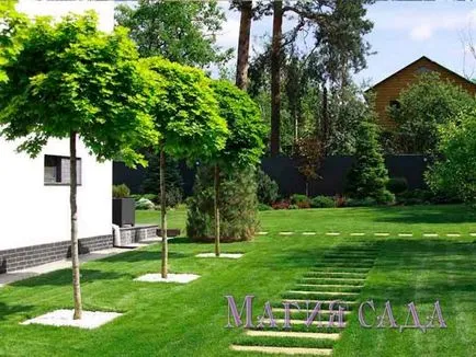 Fotografie - Landscape Design