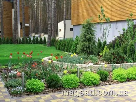 Fotografie - Landscape Design