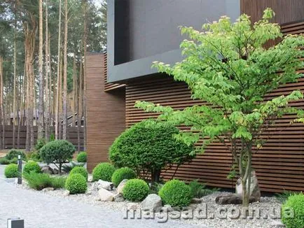 Fotografie - Landscape Design