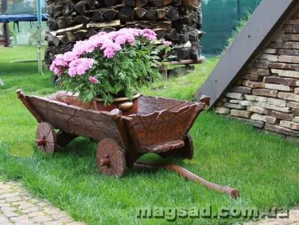 Fotografie - Landscape Design