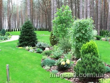 Fotografie - Landscape Design