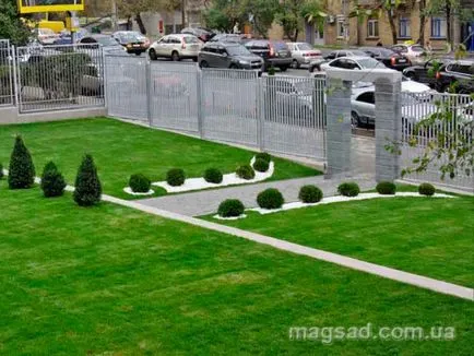 Fotografie - Landscape Design