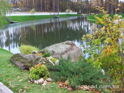 Fotografie - Landscape Design