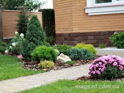 Fotografie - Landscape Design
