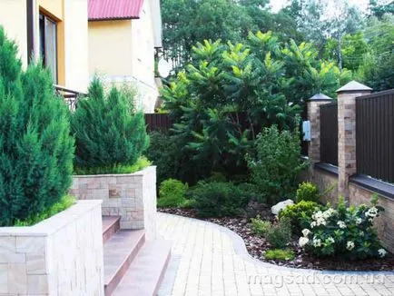 Fotografie - Landscape Design