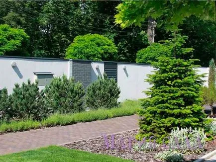 Fotografie - Landscape Design