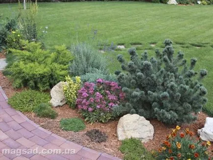 Fotografie - Landscape Design