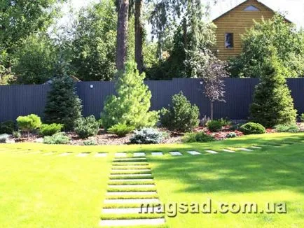 Fotografie - Landscape Design