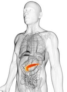 În cazul în care în corpul uman este pancreasul (o glanda) În cazul în care în corpul uman este pancreasul