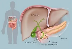 În cazul în care în corpul uman este pancreasul (o glanda) În cazul în care în corpul uman este pancreasul