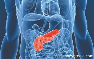 În cazul în care o persoană este pancreasul și funcțiile pe care îndeplinește (este) În cazul în care o persoană este pancreasul și funcțiile pe care îndeplinește