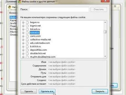 Google Chrome cookie-uri curate