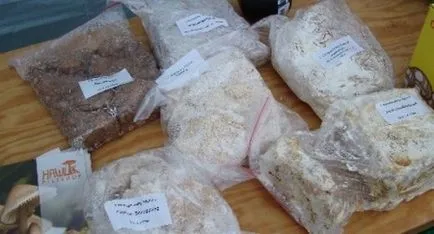 beneficii ciuperci Truffle si Harms, descriere și specii, unde creste si aplicatii (ciuperci) avantaje și prejudicii Truffle ciuperci, descriere și specii, în cazul în care crește și aplicarea