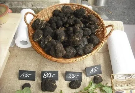 beneficii Truffle ciuperci si Harms, descriere și specii, unde creste și utilizarea (specii) avantaje și prejudicii Truffle ciuperci, descriere și specii, în cazul în care crește și aplicarea