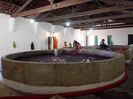Gourmet Tour în Portugalia port de vin ghid