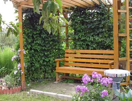 Idei pentru aranjarea porție la panta (idee) Idei pentru aranjarea porțiunii de pantă