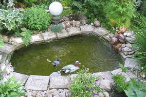lac artificial și alte chestii pentru el