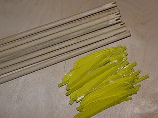 Producerea de ceapă la domiciliu
