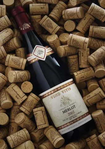 In vino veritas, sau tot adevărul despre vin (riscul de boli cardiovasculare) In vino veritas, sau întregul adevăr despre vin