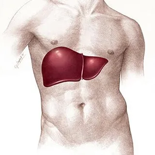 Deoarece simptomele de durere hepatice cum să trateze
