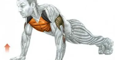 Cum pentru a pompa prietena de presă la domiciliu 18 exerciții pentru acasă și sală de gimnastică,