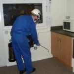 Cum sa scapi de purici în casa de metode eficiente de a scăpa (de) Cum sa scapi de purici în casa unor metode eficiente