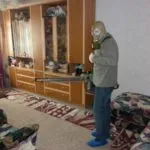 Cum sa scapi de purici în casa de metode eficiente de a scăpa (de) Cum sa scapi de purici în casa unor metode eficiente