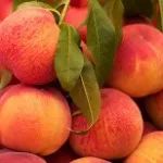 Cum să scapi de greierii, grădină și grădină (grădină de legume) Cum să scapi de greierii, grădină și grădină