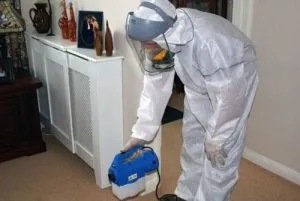 Cum sa scapi de purici in casa - cum sa scapi (purici) Cum sa scapi de purici in casa - cum să scape