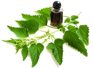Cum sa scapi de parul facial la domiciliu pentru toate femeile (condiții) Cum sa scapi de parul facial la domiciliu pentru toate femeile