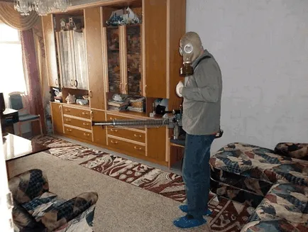 Cum sa scapi de purici în plată rapidă (rapid) Cum sa scapi de purici în apartament rapid