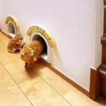 Cum frumos pentru a decora un apartament, idei interesante pentru decor (cum frumos decora apartamentul) Cum frumos pentru a decora un apartament, idei interesante pentru decor
