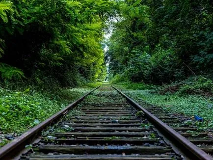Cum de a schimba imaginea atunci când treceți cursorul pe ea, sau un pic despre planare efectele (modificări ale imaginii atunci când treci) Cum de a schimba imaginea atunci când treceți cursorul pe ea, sau un pic despre planare efectele