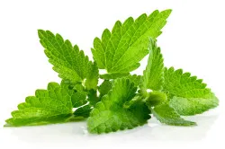 Cum de a trata crampe picior la domiciliu (convulsii) Cum de a trata crampe picior la domiciliu